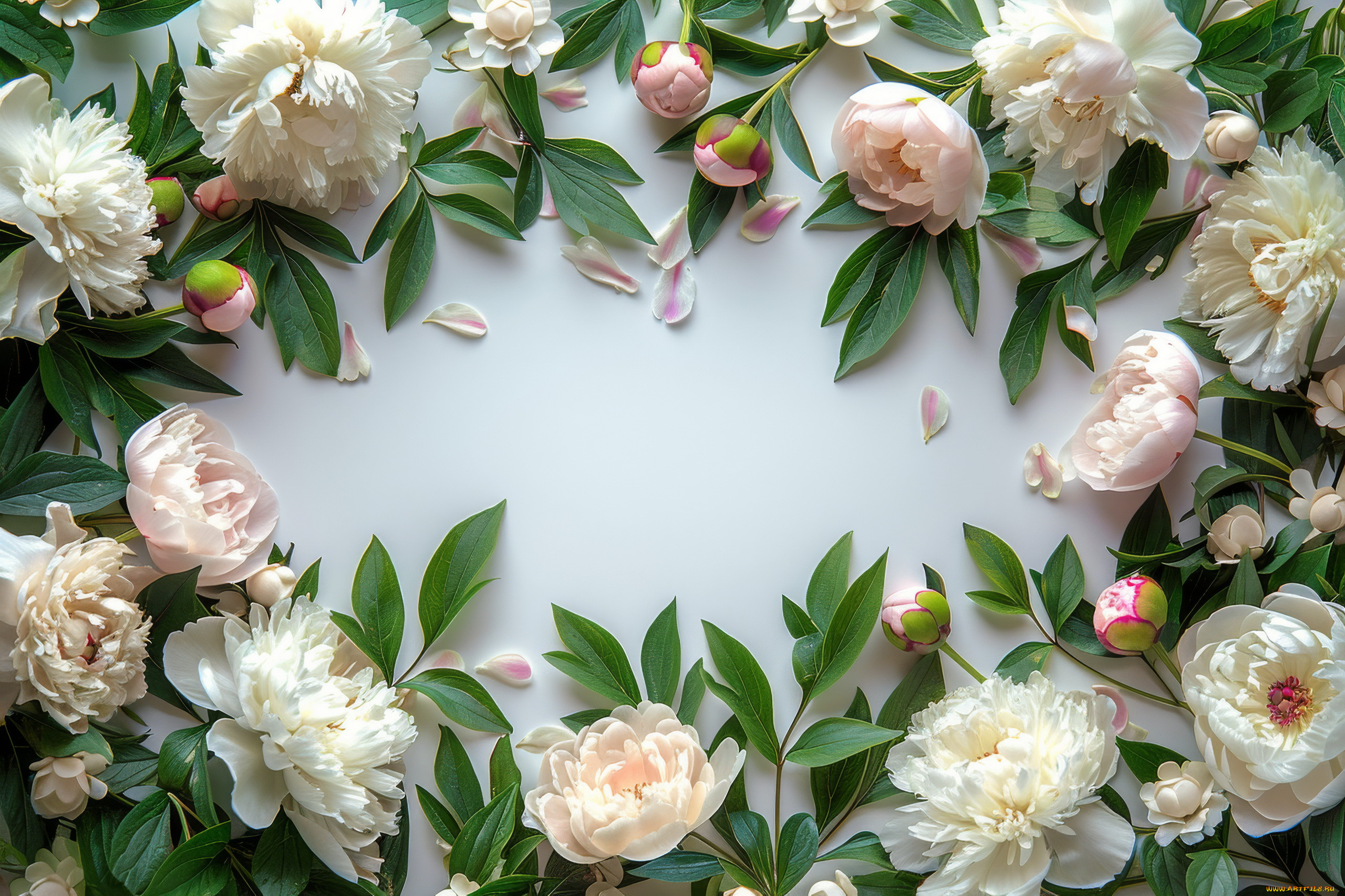 3 ,  , flowers, 